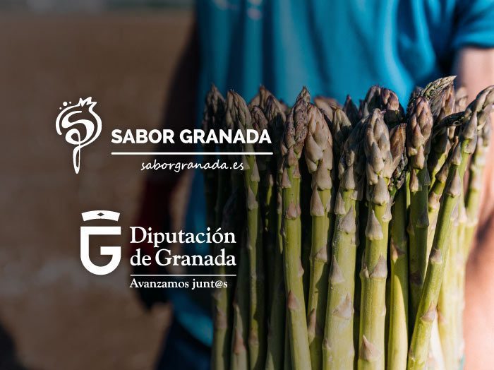 Campañas Sabor Granada, Diputación de Granada